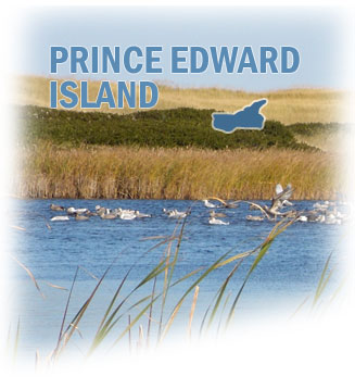 Prince Edward Island